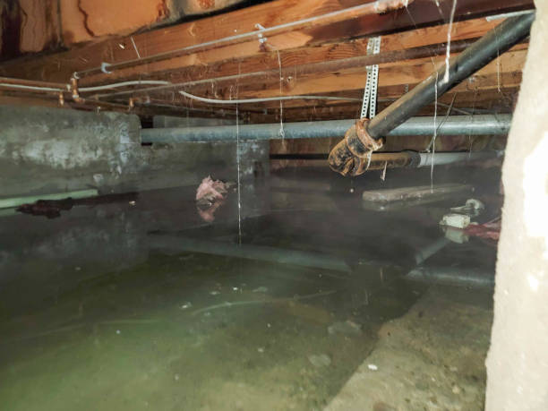 Best Flooded house restoration  in Simmesport, LA