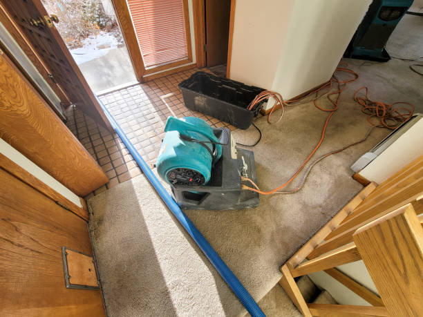 Best Professional water damage repair  in Simmesport, LA