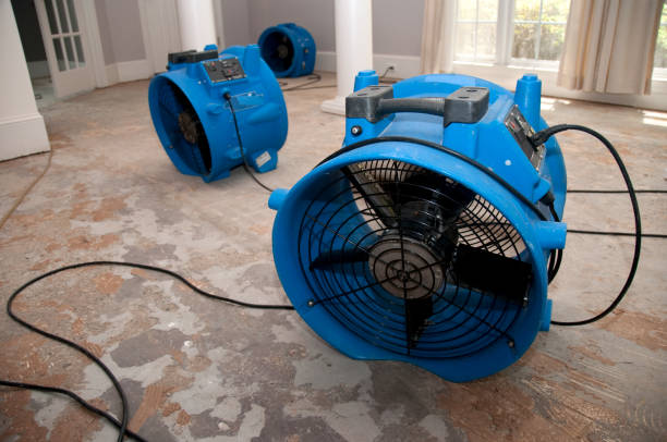 Best Professional water damage repair  in Simmesport, LA