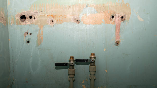 Best Ceiling water damage repair  in Simmesport, LA