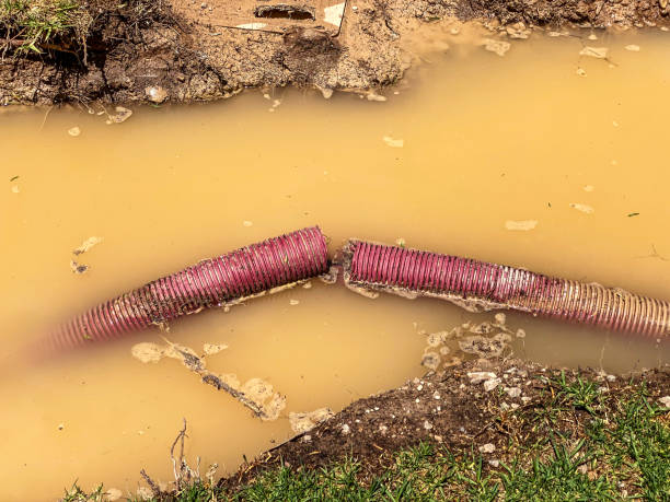 Simmesport, LA Water damage restoration Company