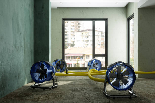 Best Water damage contractors near me  in Simmesport, LA